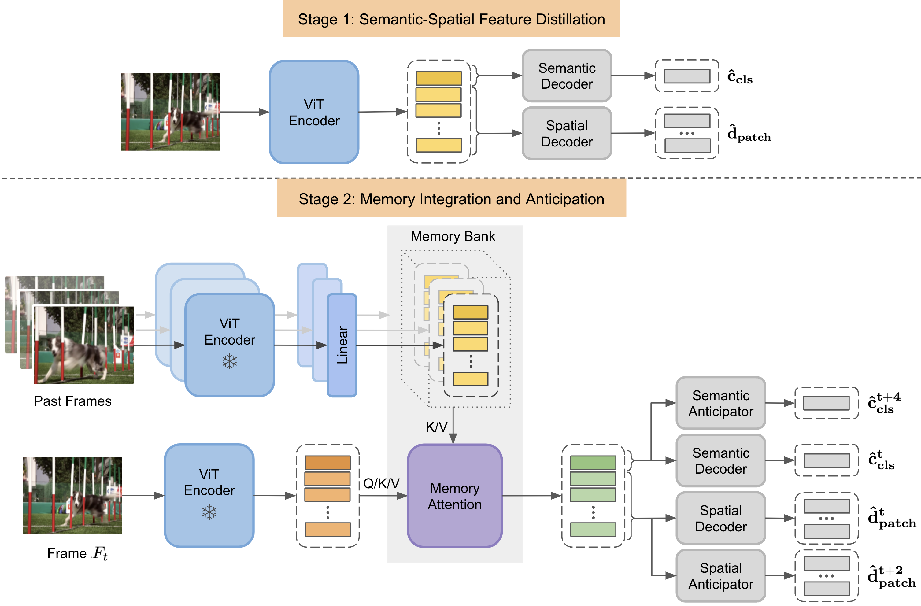 FRAME Framework