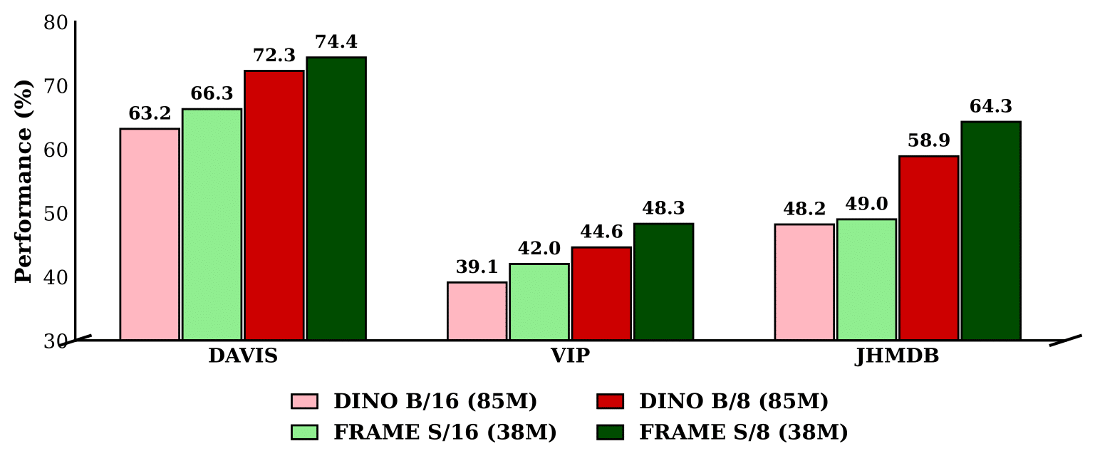 FRAME outperforms DINO with fewer parameters.